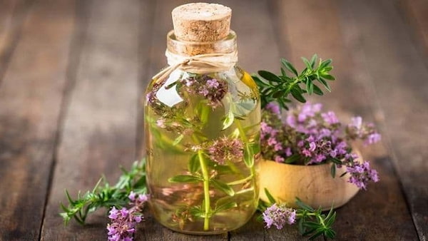 تصویر 4 از قیمت اسانس آویشن شیرازی با کیفیت ارزان + خرید عمده